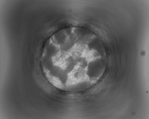 X0000102491105200809051315