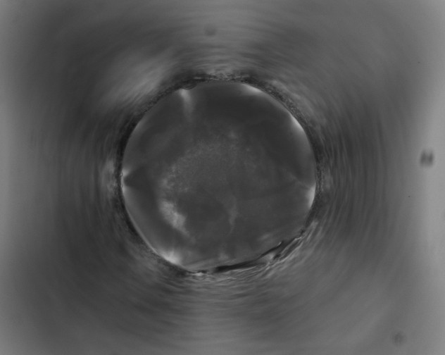 X0000102491106200809051315