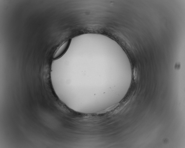 X0000102491107200809051315