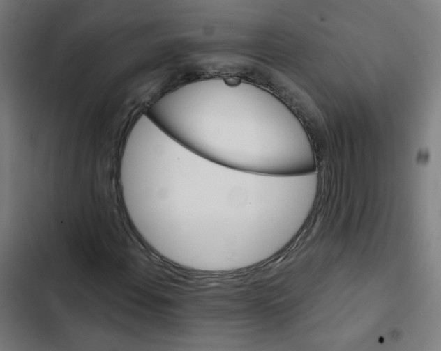 X0000102491108200809051315