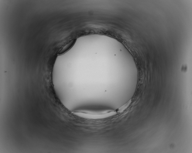 X0000102491109200809051315