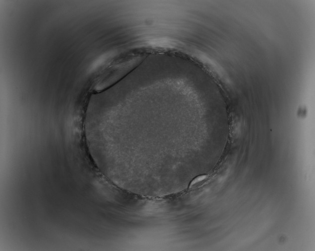 X0000102491110200809051315