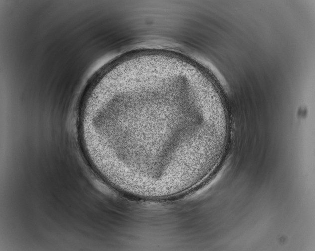 X0000102491114200809051315