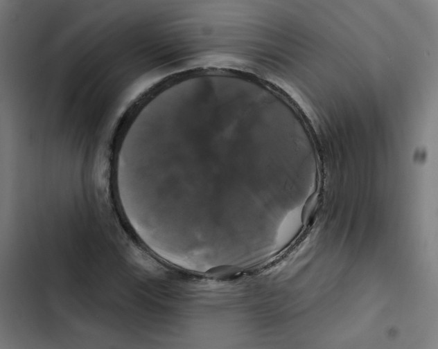 X0000102491115200809051315