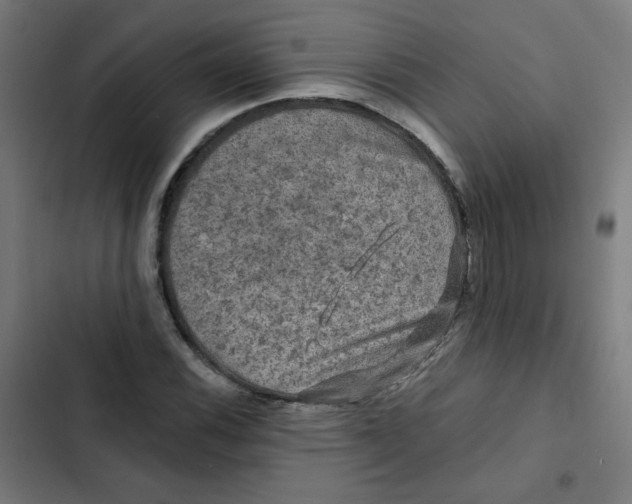 X0000102491116200809051315