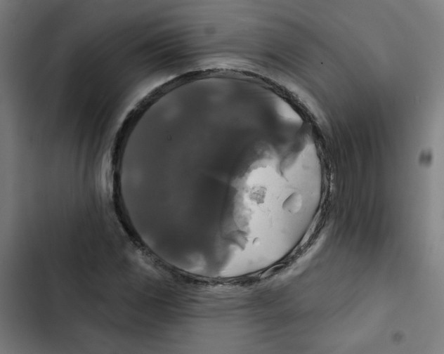 X0000102491117200809051315