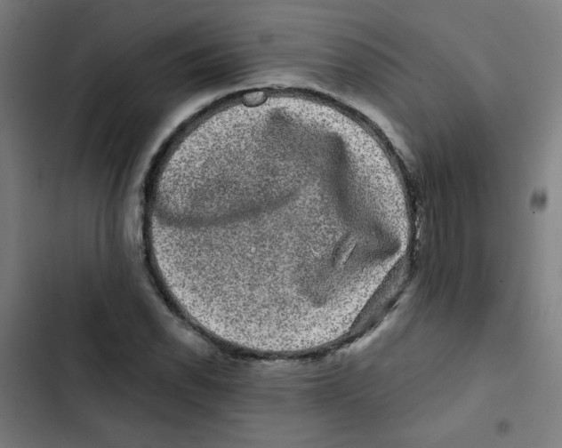 X0000102491118200809051315