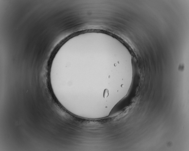 X0000102491119200809051315