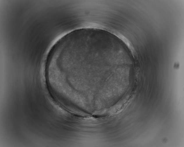 X0000102491120200809051315