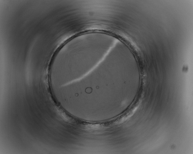 X0000102491121200809051315