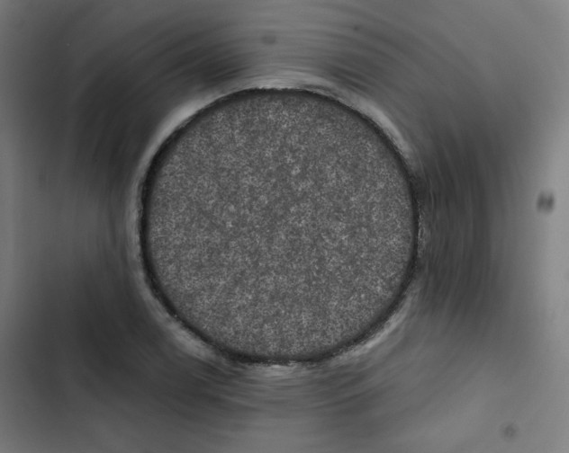 X0000102491122200809051315