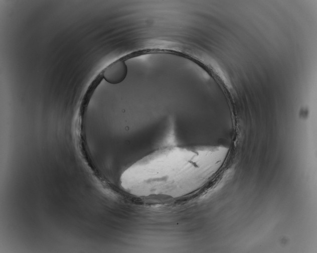 X0000102491125200809051315