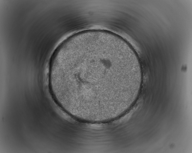 X0000102491126200809051315