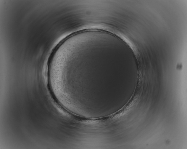 X0000102491127200809051315