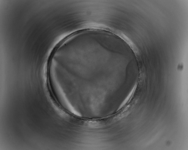 X0000102491128200809051315