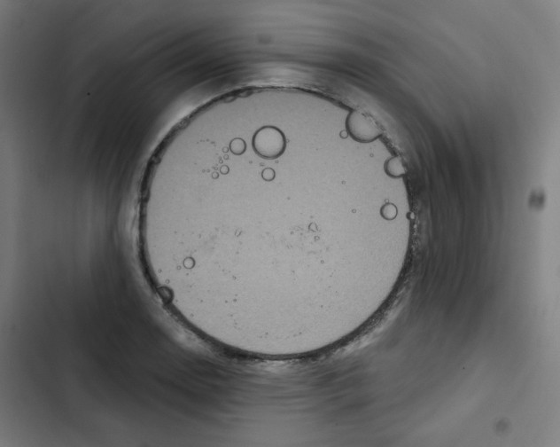 X0000102491130200809051315