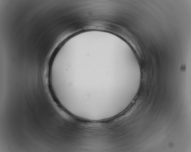 X0000102491131200809051316