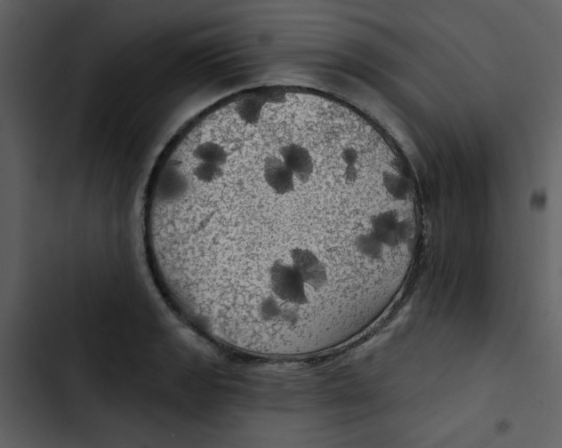 X0000102491133200809051316