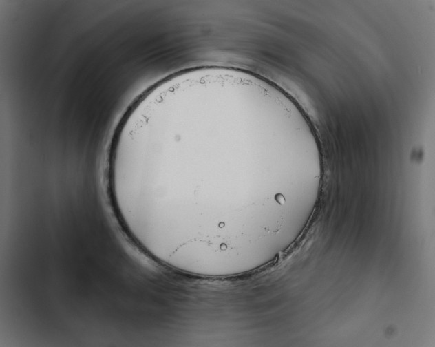 X0000102491136200809051316