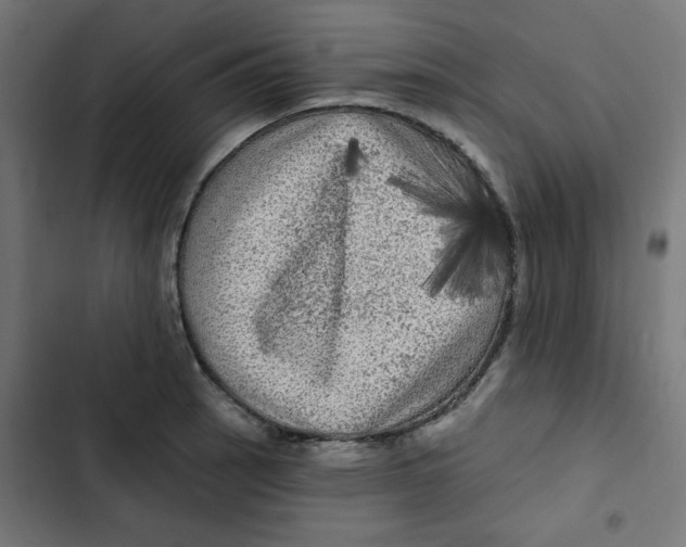 X0000102491137200809051316