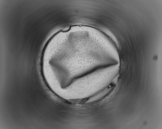 X0000102491138200809051316