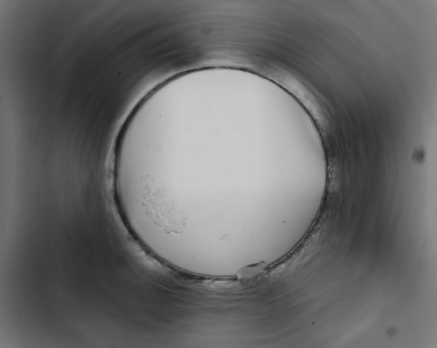 X0000102491140200809051316