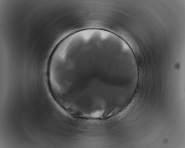 X0000102491142200809051316