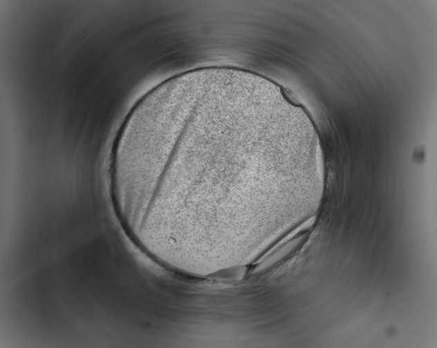 X0000102491143200809051316