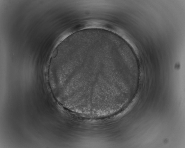 X0000102491145200809051316