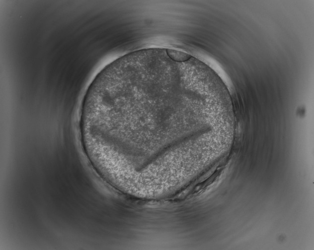 X0000102491146200809051316