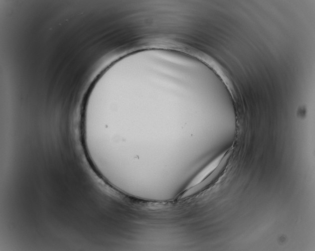 X0000102491147200809051316