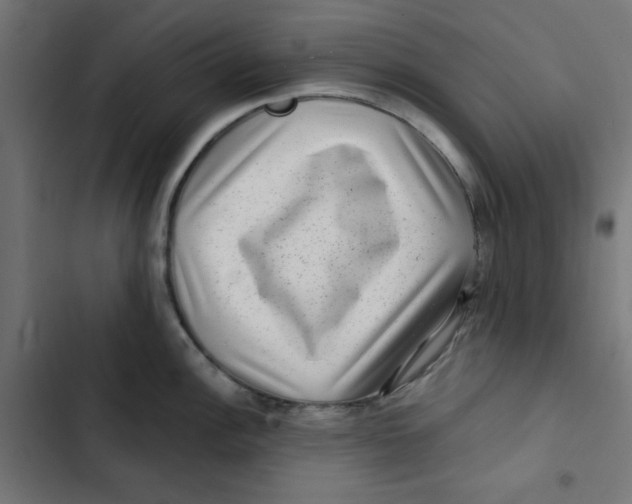 X0000102491148200809051316