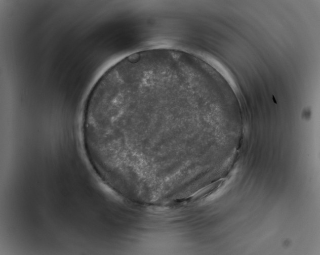 X0000102491149200809051316