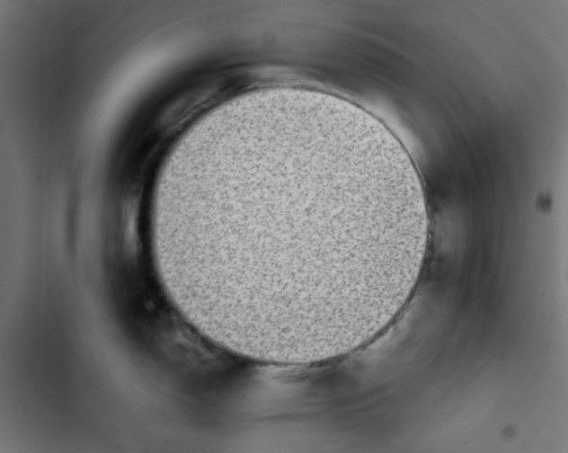 X0000102491150200809051316