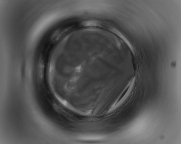 X0000102491151200809051316