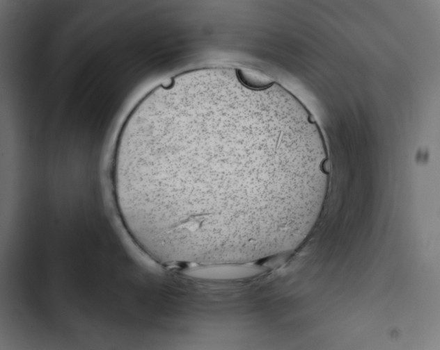 X0000102491152200809051316