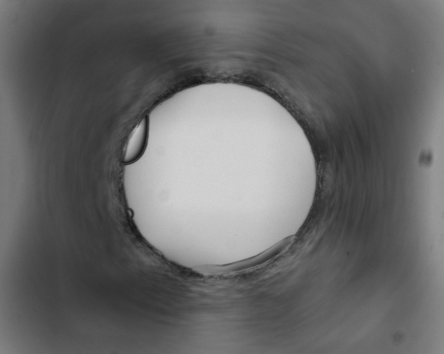 X0000102491153200809051315