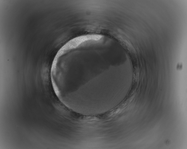 X0000102491154200809051315