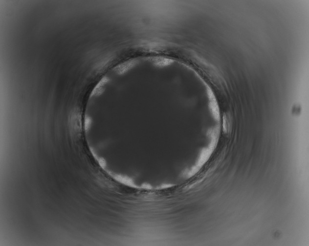 X0000102491155200809051315