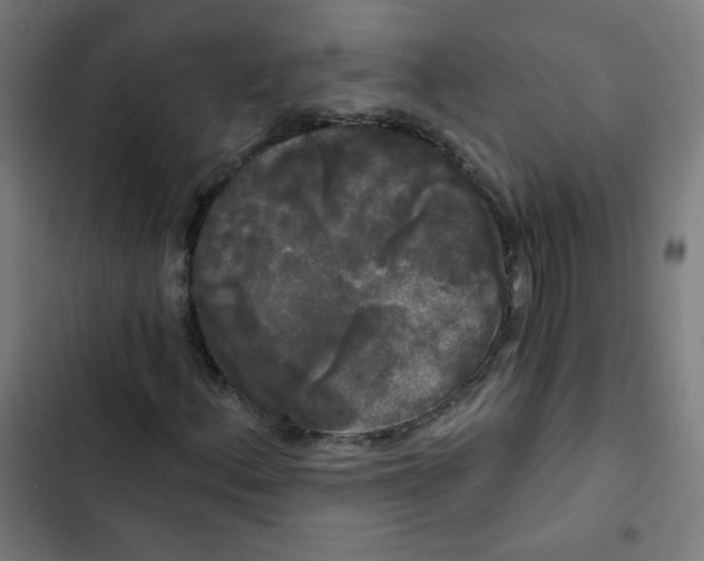 X0000102491156200809051315