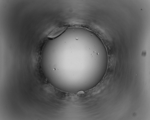 X0000102491157200809051315