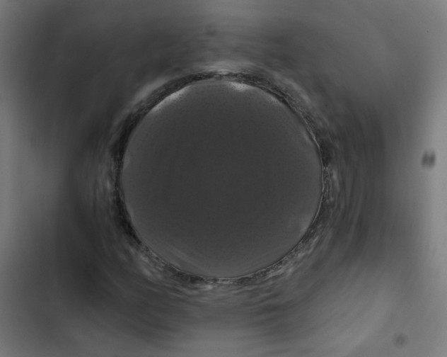 X0000102491158200809051315