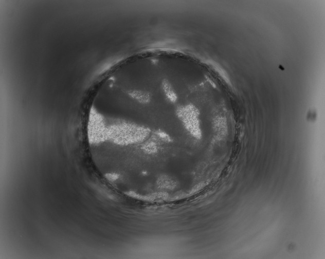 X0000102491159200809051315