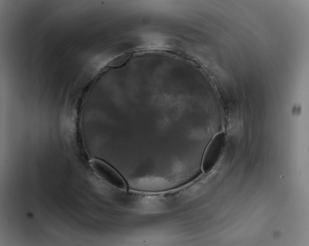 X0000102491161200809051315