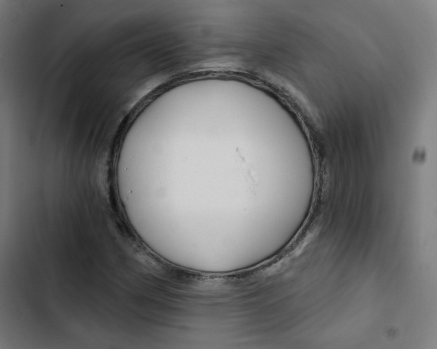 X0000102491162200809051315