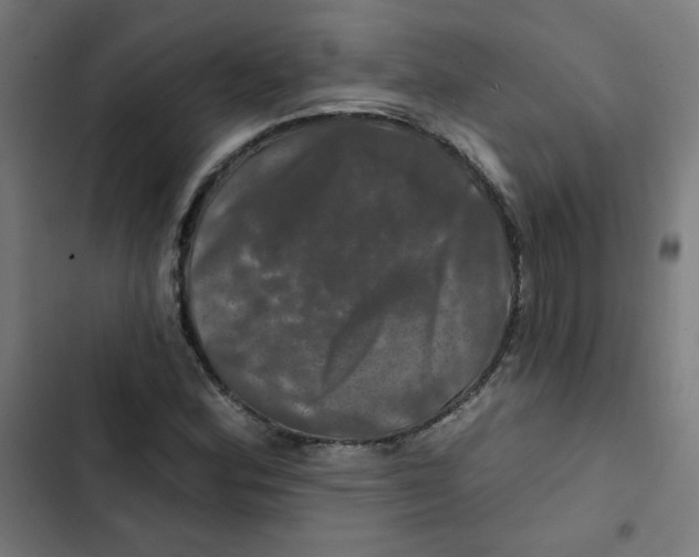 X0000102491164200809051315