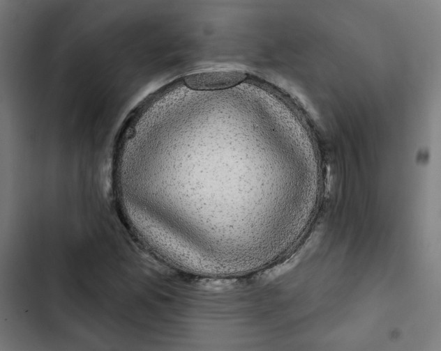 X0000102491165200809051315