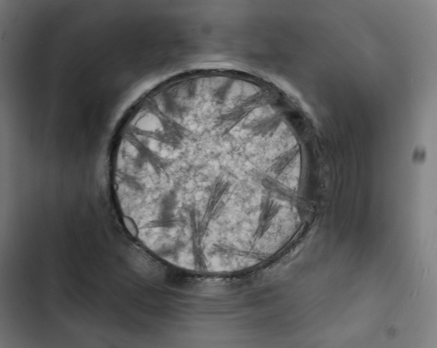 X0000102491167200809051315