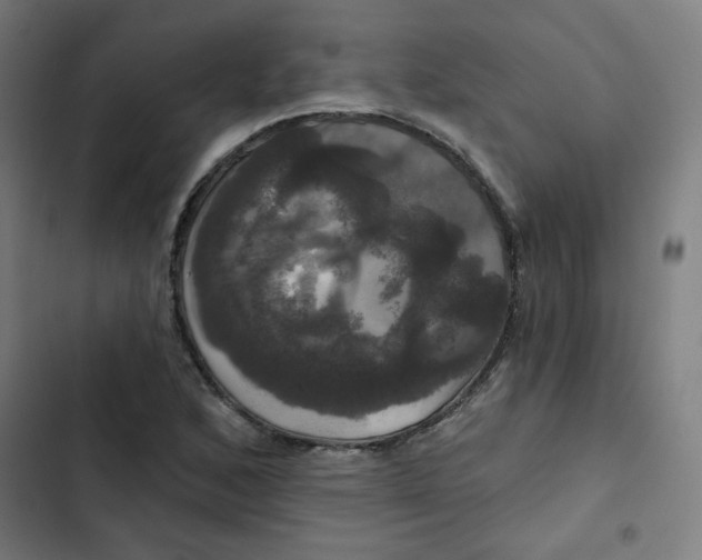 X0000102491168200809051315