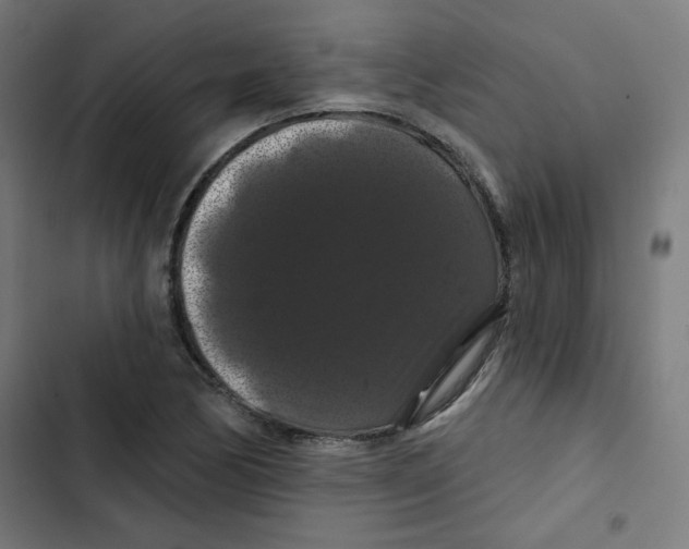 X0000102491170200809051315